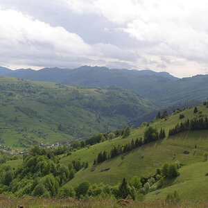 18517772ht.jpg