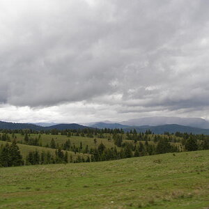 18518209co.jpg