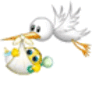 stork-baby-38.gif