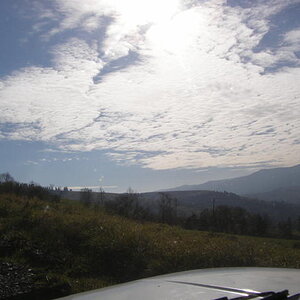 20076675cs.jpg
