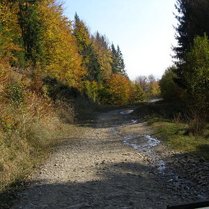 20076784co.jpg