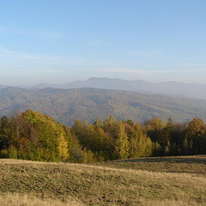 20076785wh.jpg