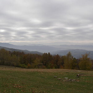 20077026rm.jpg