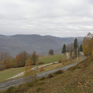 20077029ri.jpg