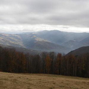 20077032sc.jpg