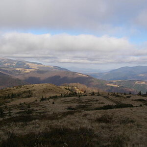 20077255ct.jpg