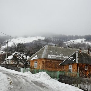20818876yg.jpg