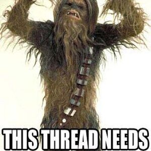 normal_Needs-More-Wookie.jpg