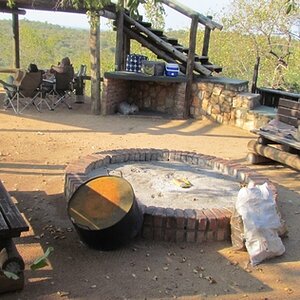 IMG_9310_zpszjwsr2zf.jpg