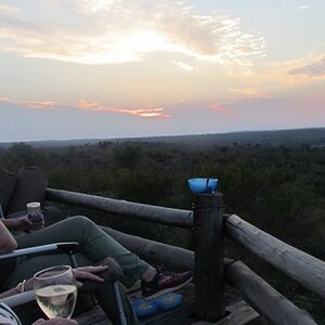 IMG_9317_zpsmrtlqaia.jpg