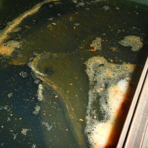 004_47.jpg