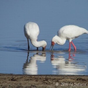 IMG_0568_zpsx3i0dnwd.jpg