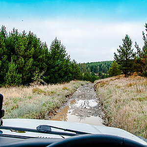 DSC_0082_zpskhmtgwzf.jpg