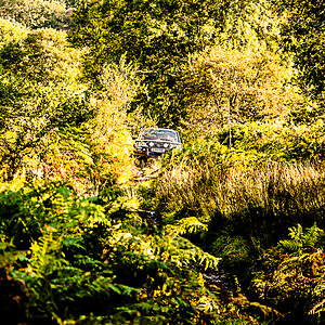 DSC_0010_zpsnidrc90l.jpg