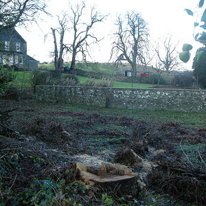 DSCN5743_zpsvhu1ukdd.jpg
