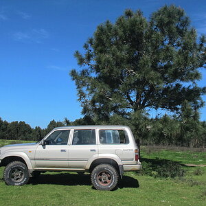 IMG_4726.1_zps426mtxxx.jpg