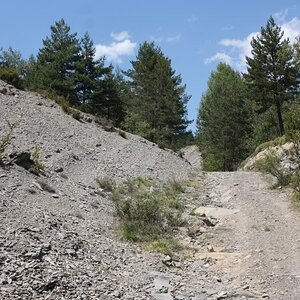 PyreneesAugust2011441.jpg