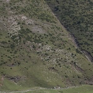 PyreneesAugust2011523.jpg