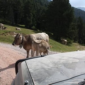 PyreneesAugust2011606.jpg