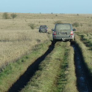 P1010694.jpg