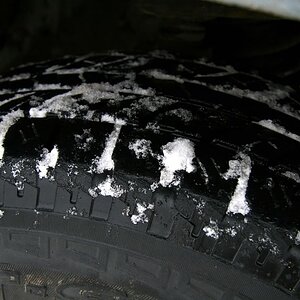 IMG_7492.jpg