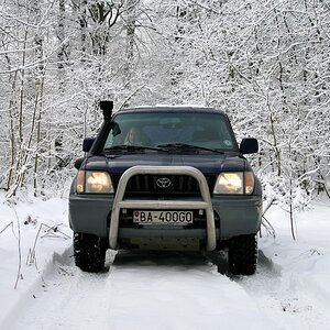 IMG_7502.jpg