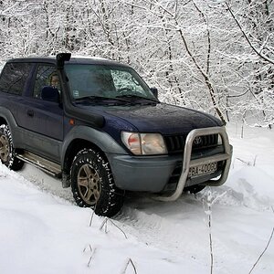 IMG_7503.jpg