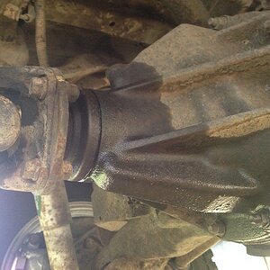 Rear Diff Input Shaft Web.jpg