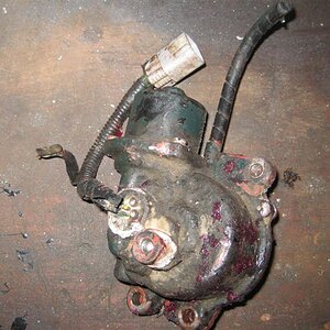 IMG_3908 (Medium).JPG