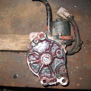 IMG_3909 (Medium).JPG