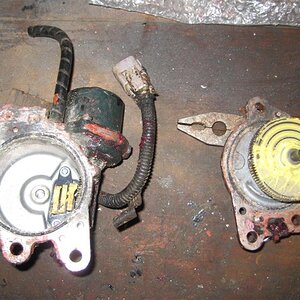 IMG_3910 (Medium).JPG