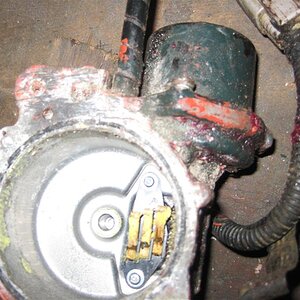 IMG_3912 (Medium).JPG