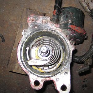IMG_3915 (Medium).JPG