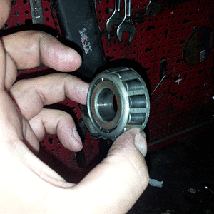 LC1.gif