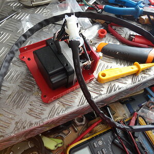 DSC01138_resize.JPG
