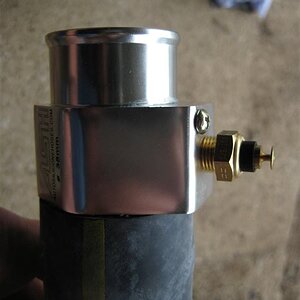 IMG_4223 (Medium).JPG