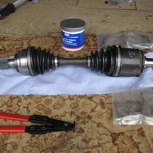 IMG_4225 (Medium).JPG