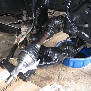 IMG_4226 (Medium).JPG