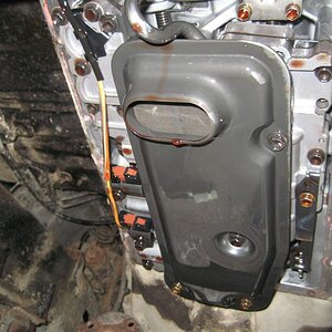 IMG_4229 (Medium).JPG