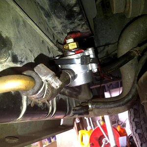 IMG-20120811-00448 (Medium).jpg
