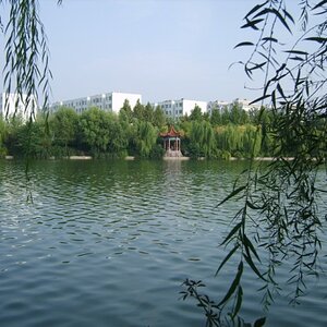 Weifang (2).jpg