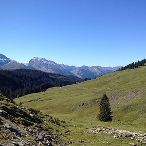 IMG_1238.JPG