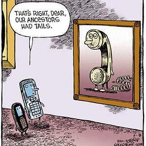 phone.jpg