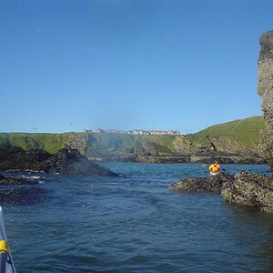 DSC00125 (Medium).JPG