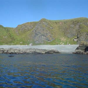 DSC00126 (Medium).JPG