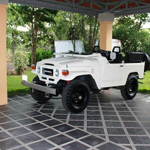 safari car 2.jpg