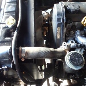 P5120033_zps0be631bc.jpg