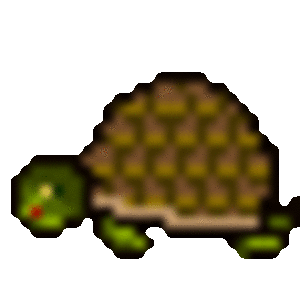 mini-tortoise.gif