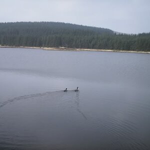PICT0211.jpg
