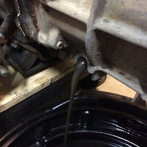 IMG_0277_zpsfflwg5zw.jpg